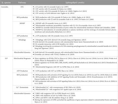 Sphingolipids in mitochondria—from function to disease